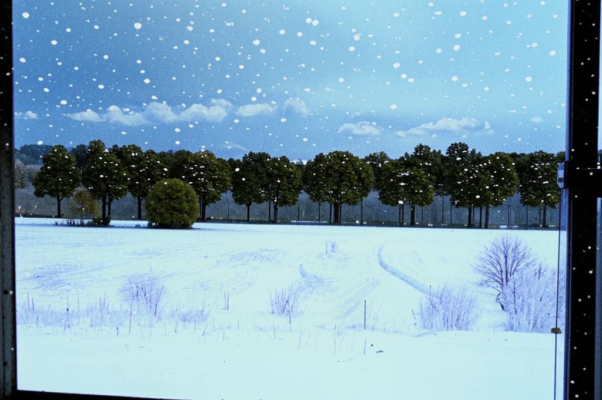 «Мы встречаем утро в школе...»