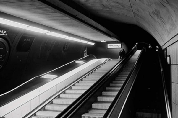 «То вниз, то вверх бежит перо...»