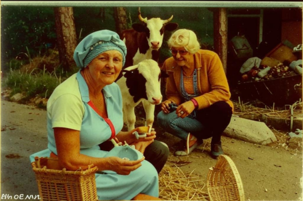 Бабушкины любимцы