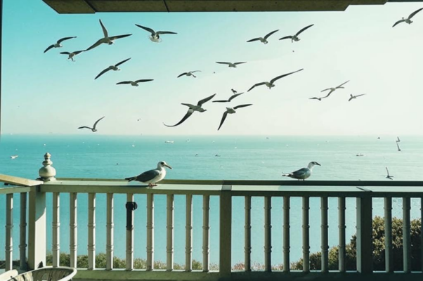 «Стояло море над балконом...»