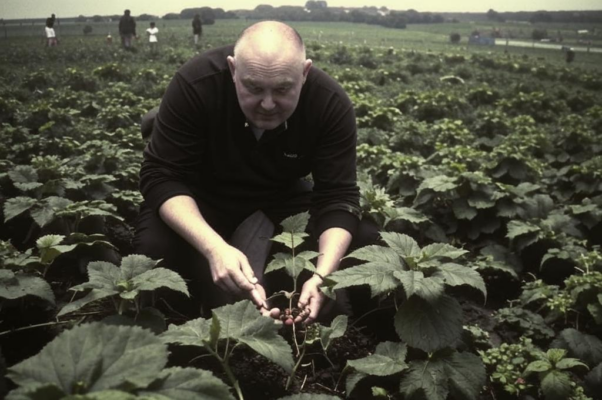 «Любознательный Билл…»