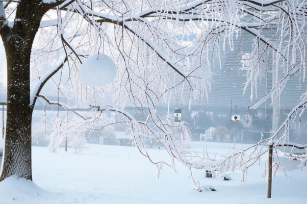 Вьюга («Вьюга снежная, пурга…»)