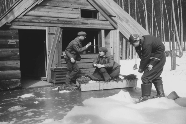 «Никто б не узнал офицера, врача...»