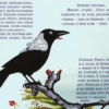 Две вороны