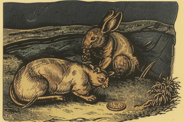 Заяц-бездельник