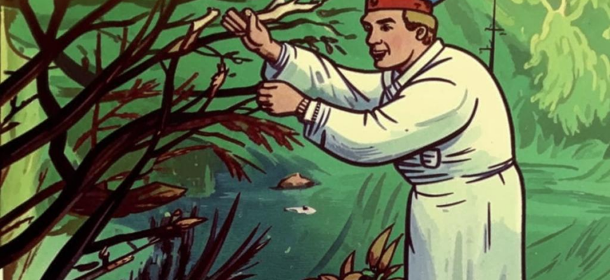 Неуклюжий жучок