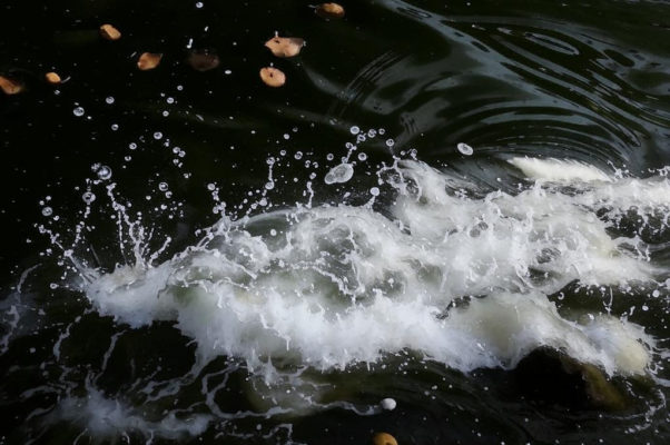 Жалоба реки Бруар владельцу земель, по которым она протекает