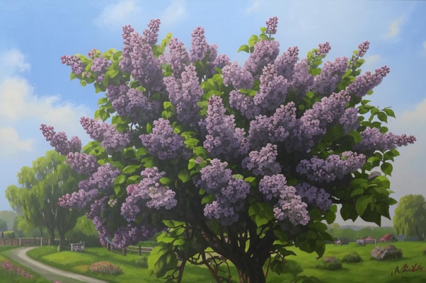 Счастье («Как празднично сад расцветила сирен…»)