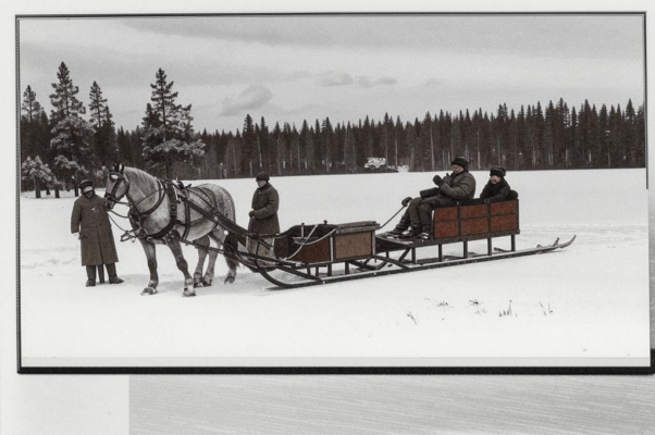 Эскимосская собака (ранний вариант)