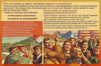 «Перед нашею / республикой / стоят богатые...»