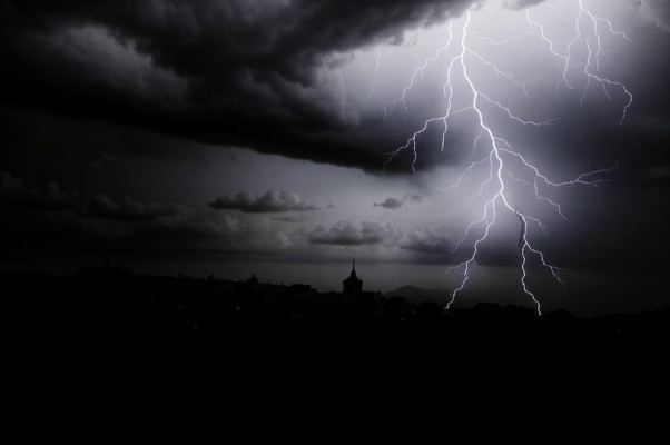 Гейнеобразное