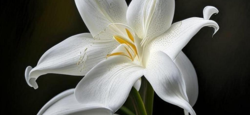 Стихи о красотах архитектуры