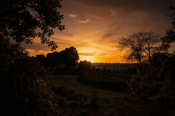 «Вечерни солнца конченная треба...»