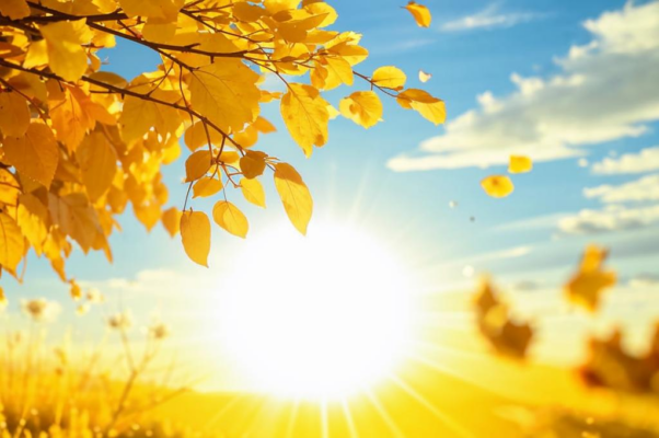 «Да что ж это за листики весенние...»