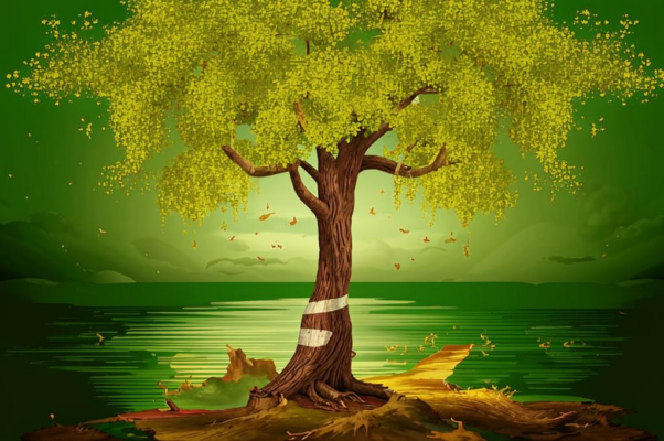 «Каштан, ссыпающий золото...»