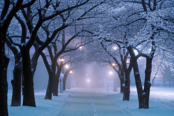 «Снег, все улицы заметающий...»