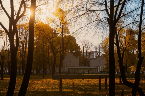 Остатки от сезона