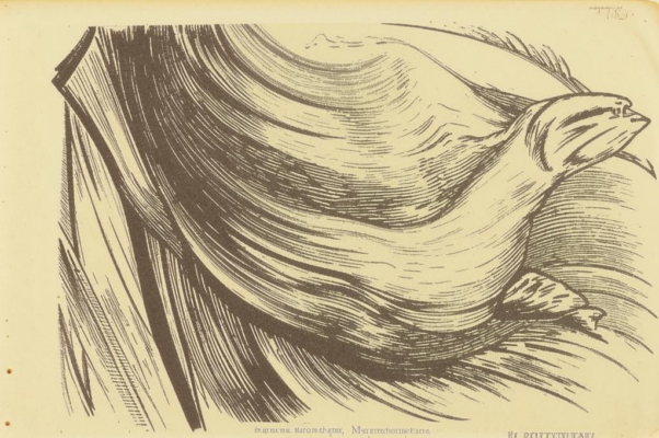 Газете «День»