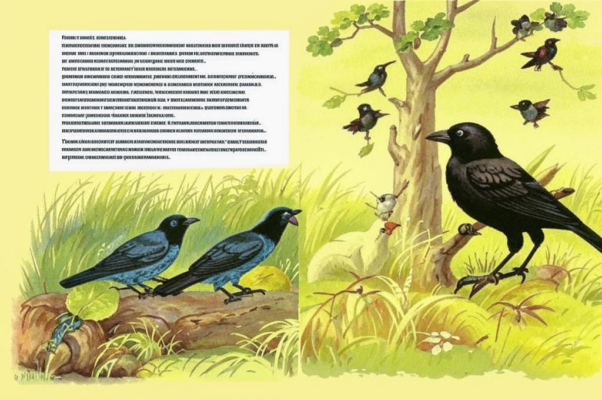 На ком шапка горит?