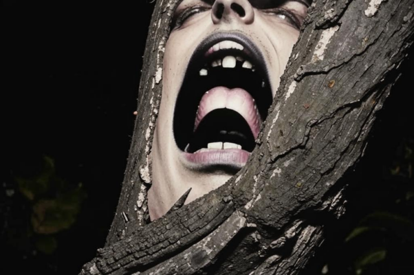 «Голос, продленный изгибом сквозного ствола...»