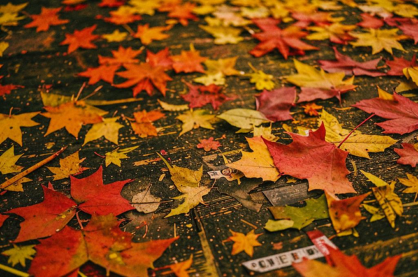 «Еще скажу о небесах...»