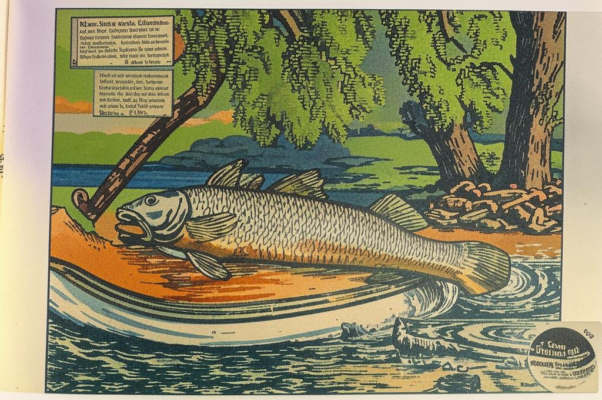 «На Руси, на Руси, на Руси...»