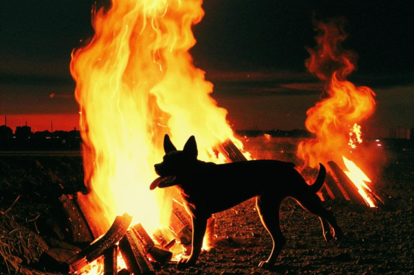 «Свергли Маленкова и команду...»