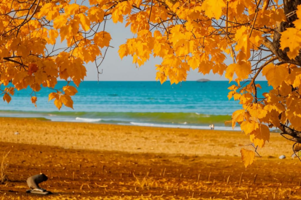 Вдохновение («Сон …»)