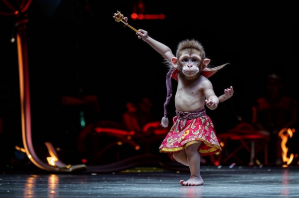 Апельсинная страна