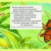 «Как хрупки мошки! Как же быстро мрут....»