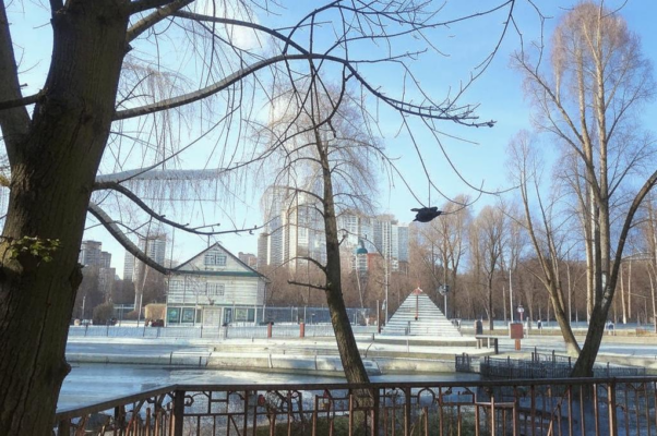 Ручеёк («Солнцем над Москво…»)