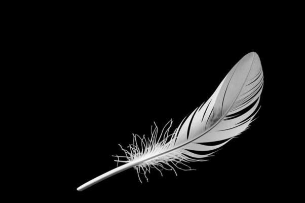 Проба пера («Птенчик оперился.  Значит, пора…»)