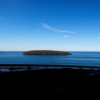 К славному мореходцу Берингу