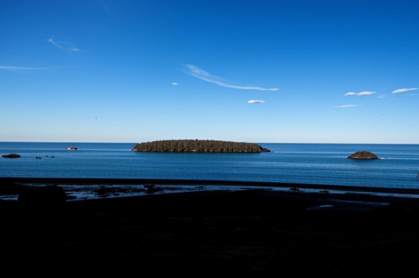 К славному мореходцу Берингу