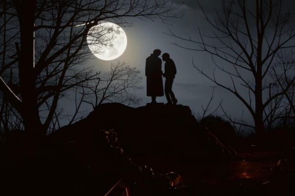 «Ах, этот лунный свет! Назойливый, холодный...»