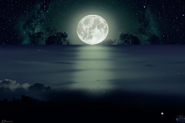 «Лунным блеском озаренная...»