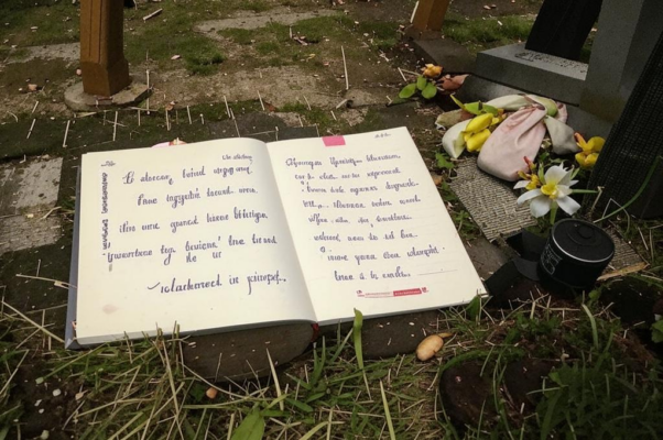 «Не я пишу — рукой моею...»