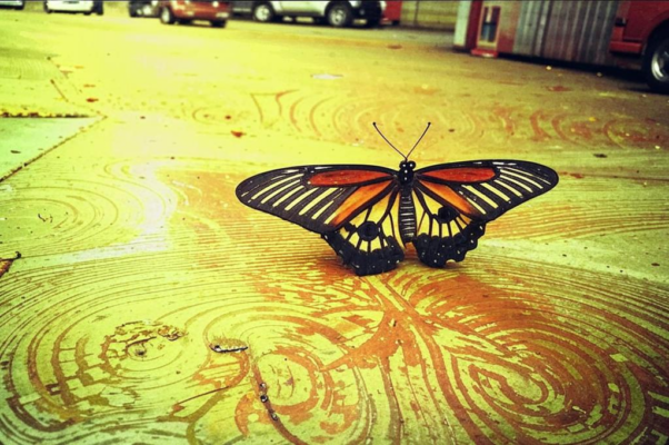 «По душной улице столицы раскаленной...»