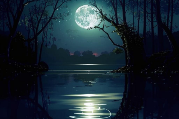 Ночью («Хороша эта ночка, безмолвная, ясная…»)