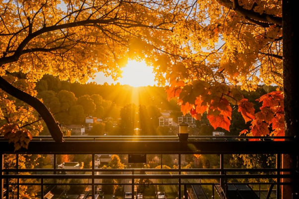 «Закат и осень золотые...»