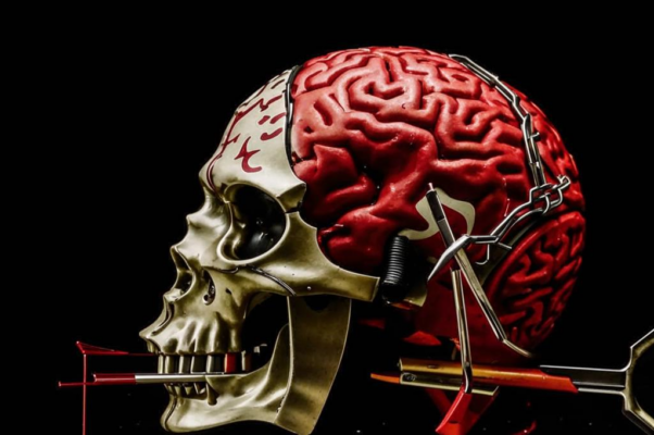 «Разделю себе скальпелем голову...»