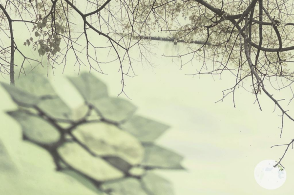 «Тепло и сухо. День осенний...»