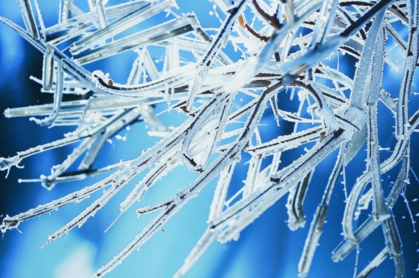 «Тонкие ветки, серебряный иней...»