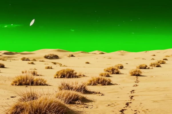 «Я не знаю теперь — был то сон или нет...»