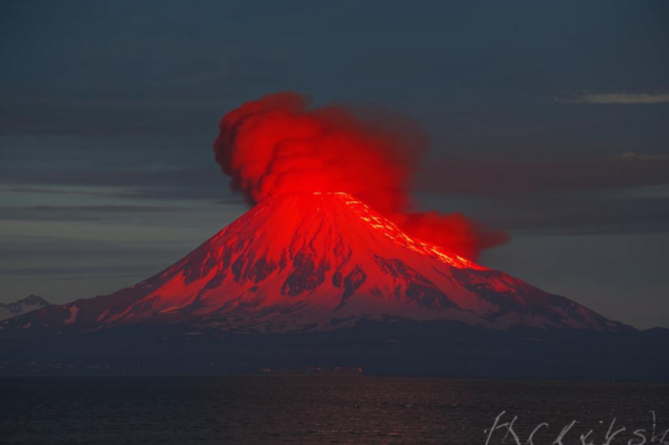 Антарктида