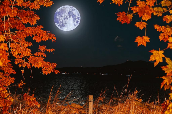 Лунная память