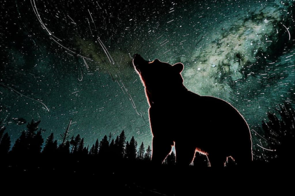 Начало («О ПОТОНУВШЕЙ МЕДВЕДИЦ…»)