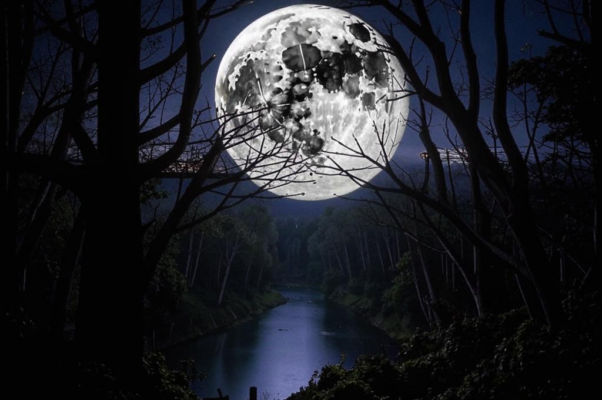 Последняя четверть