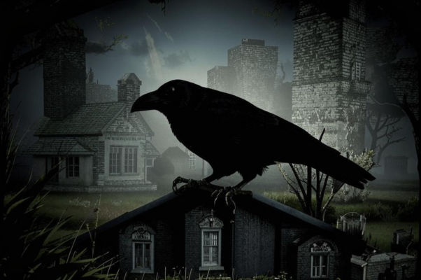 Черная птица