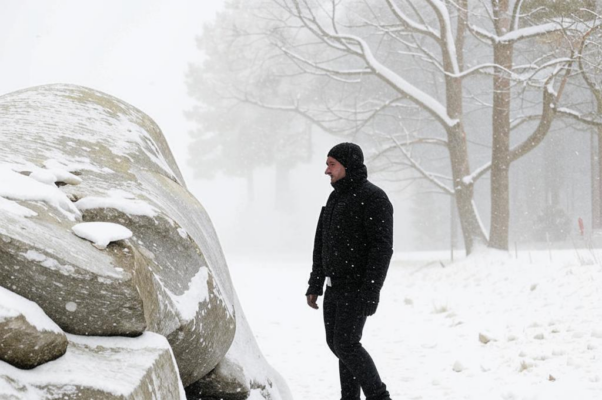 Эстонец и камень